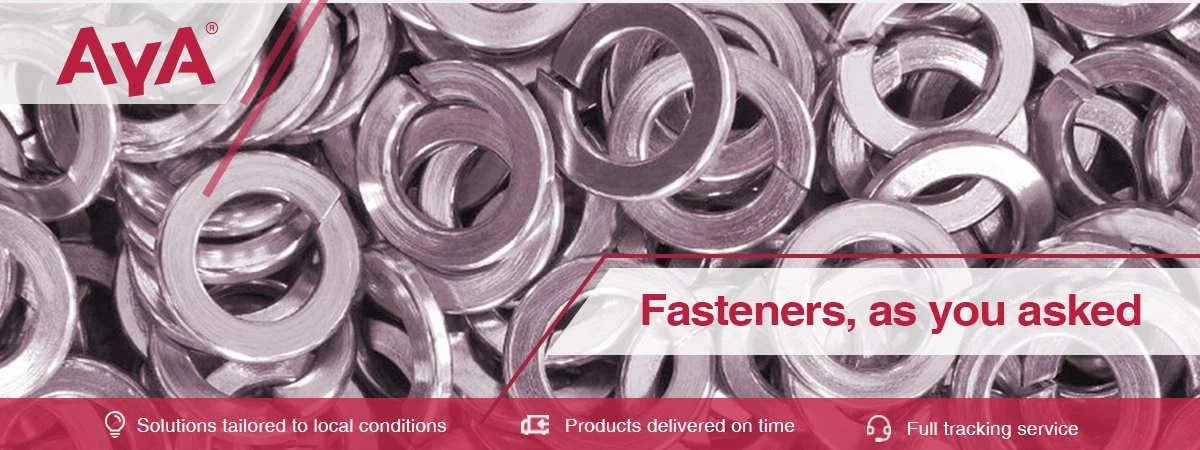 product-1-1 Stainless Steel Spring Washer-AYA