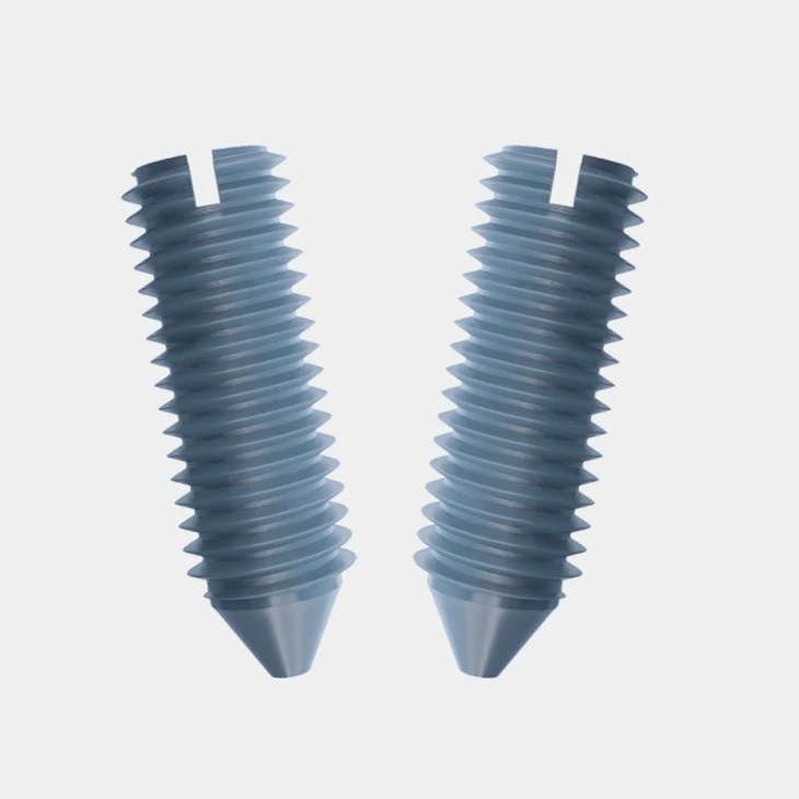 Slotted Set Screws With Cone Point-AYA SCREWS